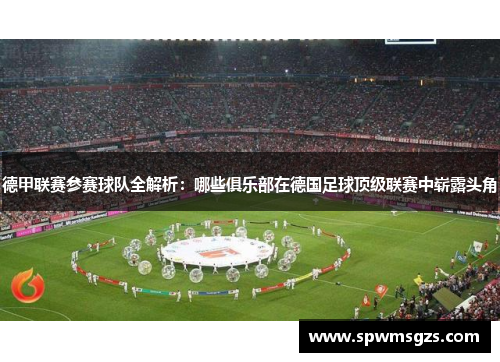 德甲联赛参赛球队全解析：哪些俱乐部在德国足球顶级联赛中崭露头角