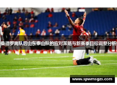 桑德罗离队后山东泰山队的应对策略与新赛季目标调整分析