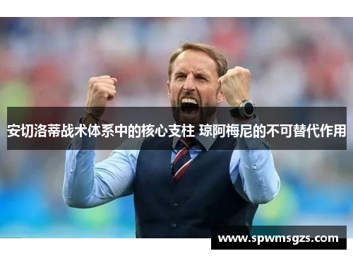 安切洛蒂战术体系中的核心支柱 琼阿梅尼的不可替代作用